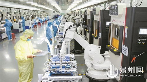 石獅 科技創新催生產業蝶變，網絡技術服務賦能企業新未來